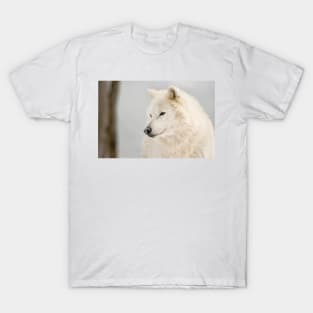 Arctic Wolf T-Shirt